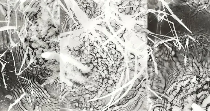 Encuentro “Lo que el agua nos dice. Exploraciones fluidas del río Manzanares”