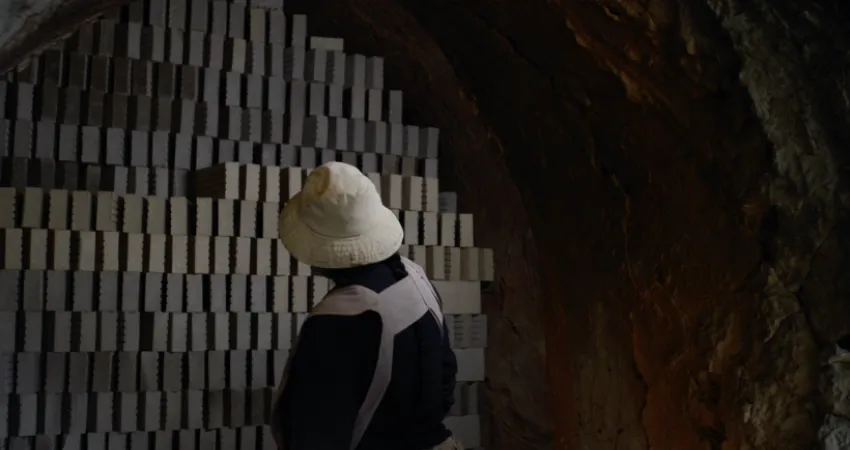 Carta blanca a Ciudades Reveladas