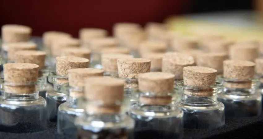 Taller Cultivar Biofilia 