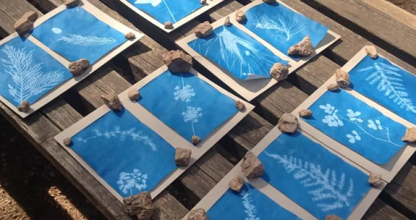  Cianotipia de un herbario local 